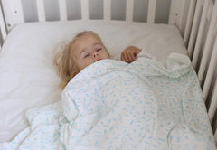 Organic Stroller Blanket - RIZ Sky